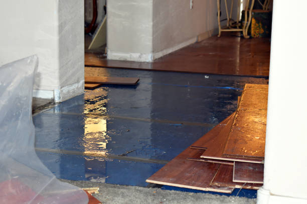 Professional Basement Flood Cleanup technician working in Lynchburg, OH